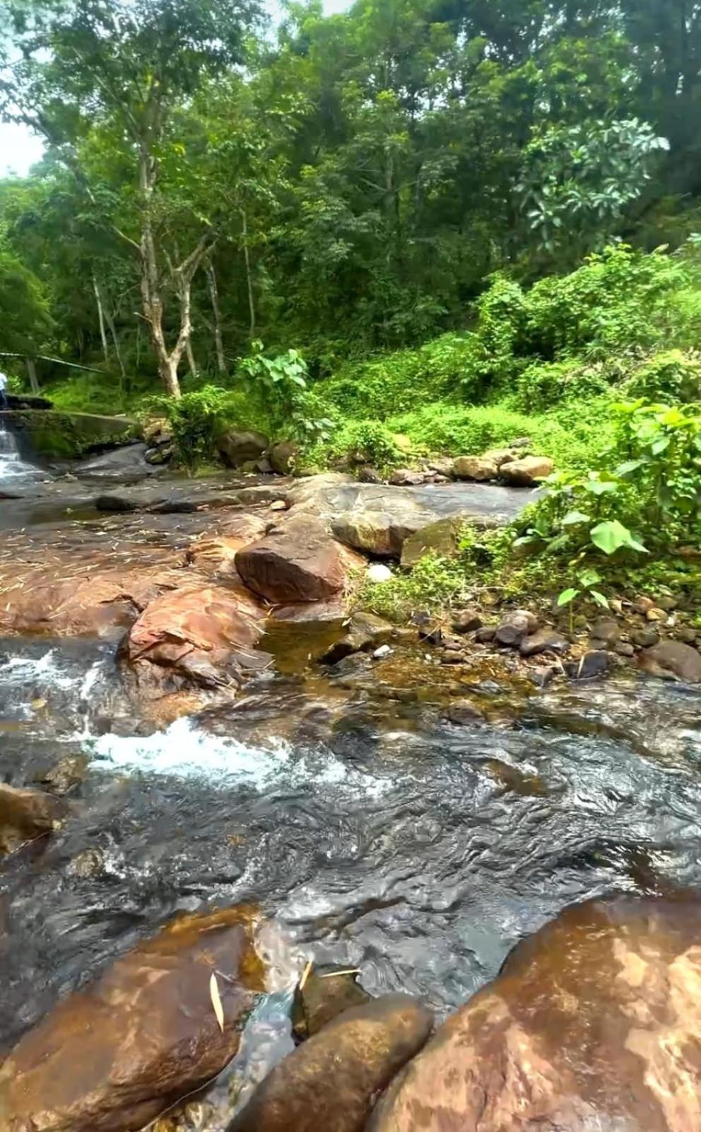 Nest Resorts Athirappilly Extérieur photo