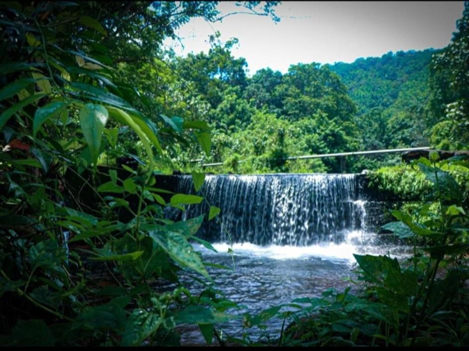 Nest Resorts Athirappilly Extérieur photo